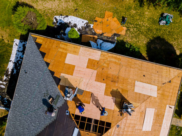 Best Affordable Roofing Company  in Chesaning, MI