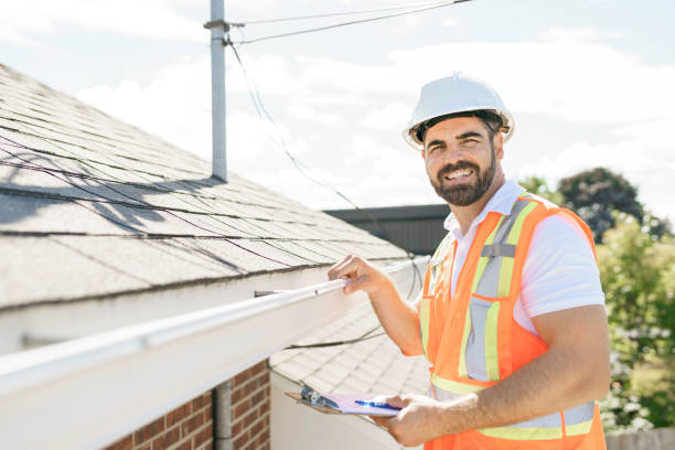 Best Sealant for Roof  in Chesaning, MI