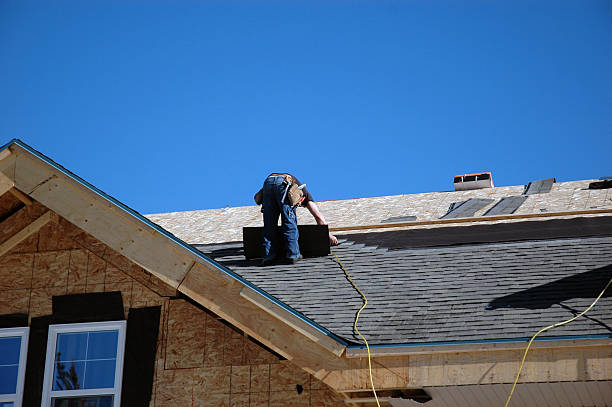 Best Roof Maintenance Services  in Chesaning, MI