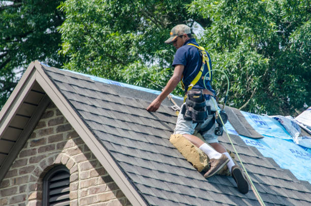 Best Storm Damage Roof Repair  in Chesaning, MI