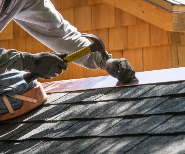 Best Flat Roof Repair Services  in Chesaning, MI